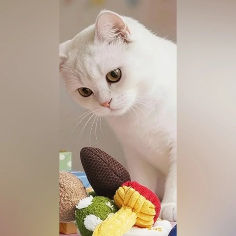 Mushroom Catnip Cat Toys, Catnip & Silvervine Chew Toy, Morel Mushroom 🍄‍🟫